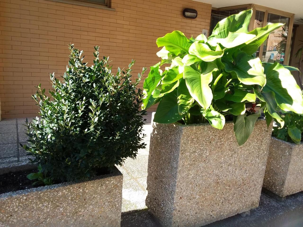 Albergo Nyers Perugia Exteriér fotografie